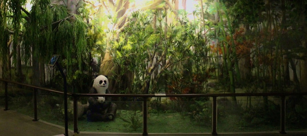 秦嶺國(guó)家(jiā)植物(wù)園科(kē)普館